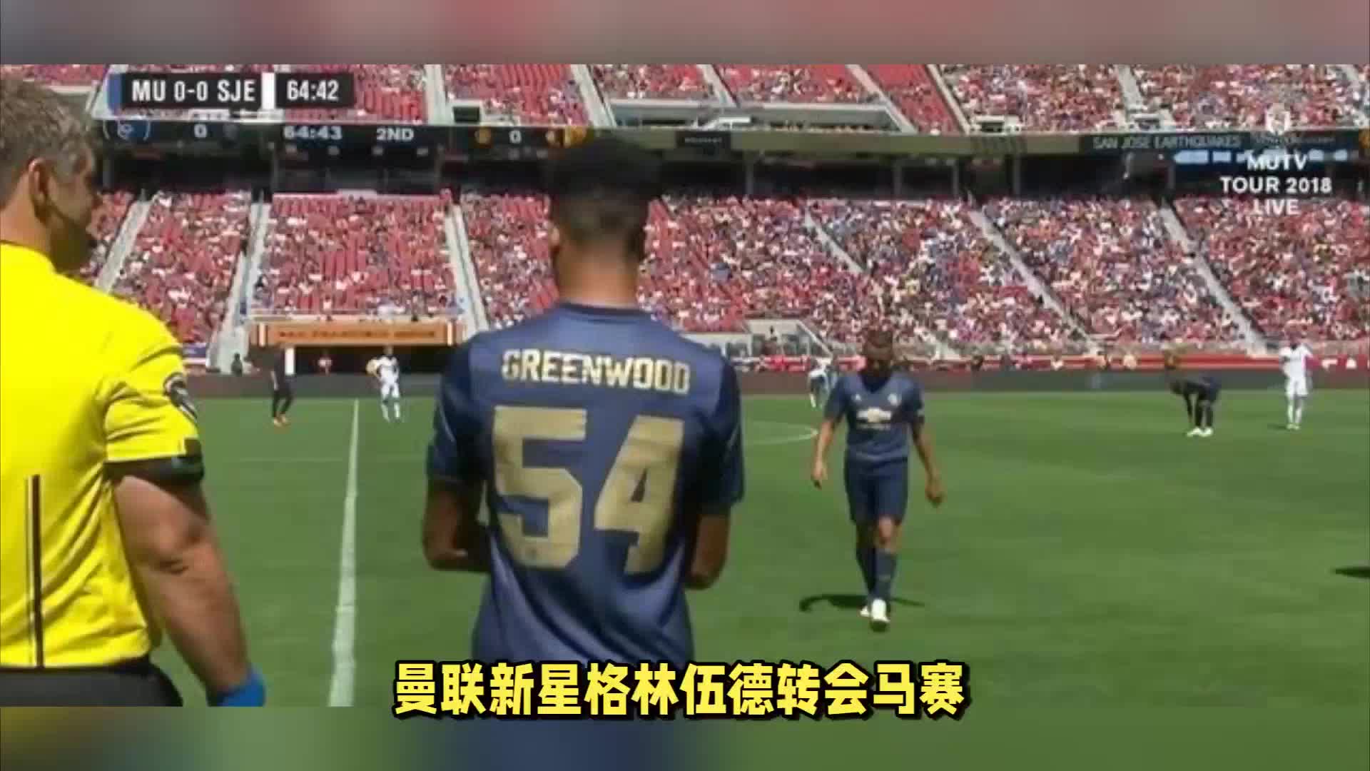 莱尼赫