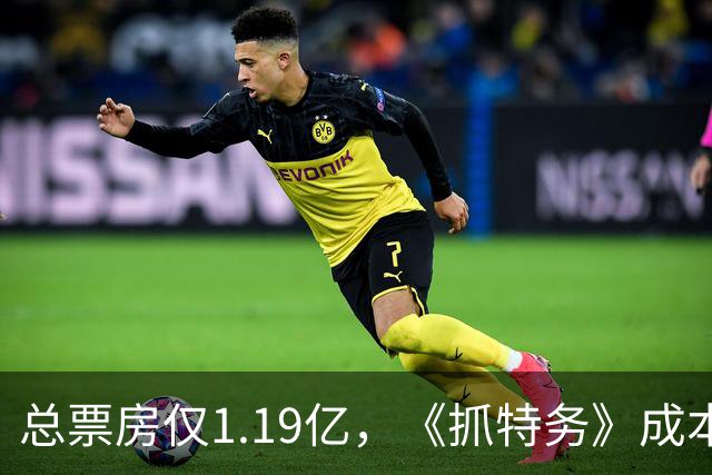 总票房仅1.19亿，《抓特务》成本曝光，冯小刚直言对不起投资方