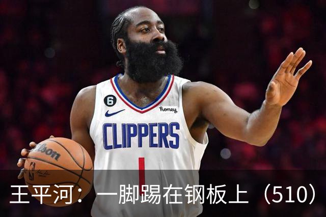 王平河：一脚踢在钢板上（5/10）
