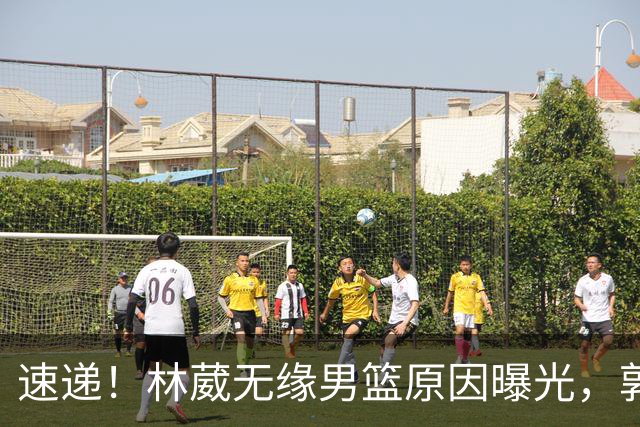 速递！林葳无缘男篮原因曝光，郭士强回京述职，姚明斯科拉重聚